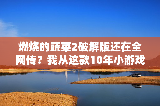 燃烧的蔬菜2破解版还在全网传？我从这款10年小游戏的灰产链条，看懂了中小游戏开发者的生死困局