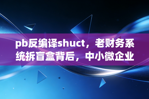 pb反编译shuct，老财务系统拆盲盒背后，中小微企业数字化转型的隐性成本账