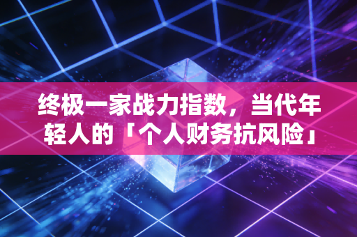 终极一家战力指数，当代年轻人的「个人财务抗风险」量化指南
