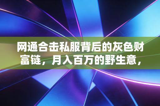 网通合击私服背后的灰色财富链，月入百万的野生意，藏着多少普通人看不到的商业逻辑与法律风险