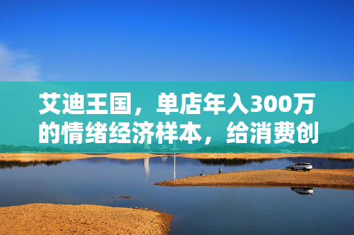 艾迪王国，单店年入300万的情绪经济样本，给消费创业者的3个底层启示