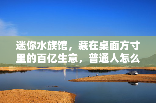 迷你水族馆，藏在桌面方寸里的百亿生意，普通人怎么吃到这波红利？