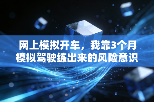 网上模拟开车,我靠3个月模拟驾驶练出来的风险意识,帮家里躲过了20万理财亏损