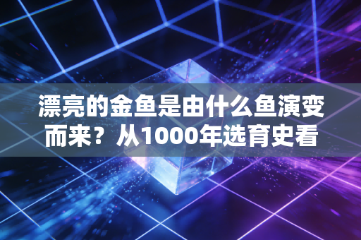 漂亮的金鱼是由什么鱼演变而来?从1000年选育史看懂「慢变量商业」的长期复利