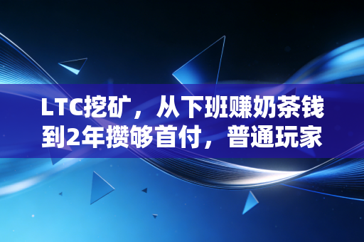 LTC挖矿，从下班赚奶茶钱到2年攒够首付，普通玩家的踩坑实录与真心话