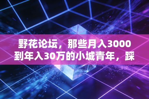 野花论坛,那些月入3000到年入30万的小城青年,踩过的3个投资天坑
