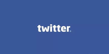 Twitter账号购买批发-推特账号免费分享
