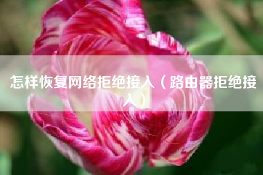 怎样恢复网络拒绝接入（路由器拒绝接入）