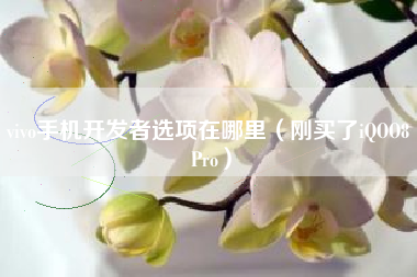 vivo手机开发者选项在哪里（刚买了iQOO8 Pro）