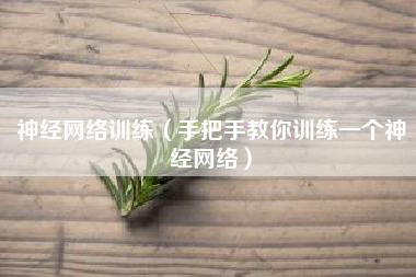 神经网络训练（手把手教你训练一个神经网络）