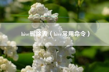 hive删除表（hive常用命令）