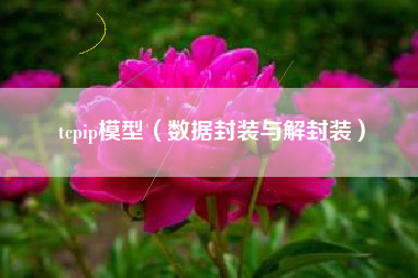 tcpip模型（数据封装与解封装）