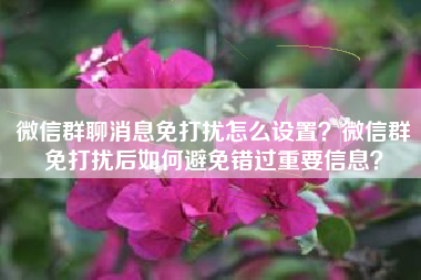 微信群聊消息免打扰怎么设置？微信群免打扰后如何避免错过重要信息？