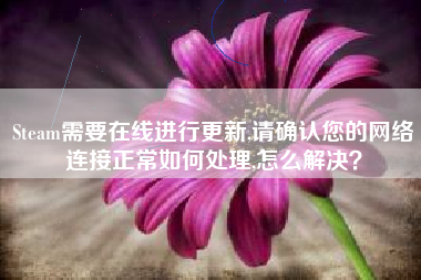 Steam需要在线进行更新,请确认您的网络连接正常如何处理,怎么解决？