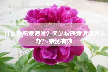 什么是恶意镜像？网站被恶意镜像怎么办？(亲测有效)