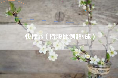 快播16（持股比例超9成）