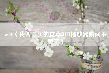 se01（我两千买的安卓HIFI播放器瞬间不香了）