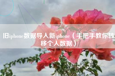 旧iphone数据导入新iphone（手把手教你转移个人数据）
