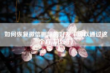 如何恢复微信删除的好友（可以通过这个方法找回）