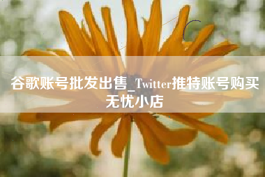 谷歌账号批发出售_Twitter推特账号购买无忧小店