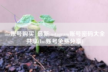 ins账号购买_最新instagram账号密码大全共享(Ins账号免费分享)