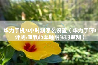华为手机24小时制怎么设置（华为手环4评测:血氧心率睡眠实时监测）