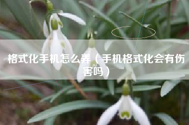 格式化手机怎么弄（手机格式化会有伤害吗）