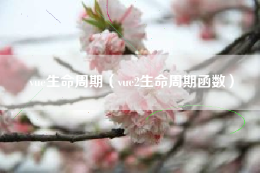 vue生命周期（vue2生命周期函数）