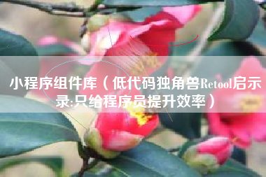 小程序组件库（低代码独角兽Retool启示录:只给程序员提升效率）