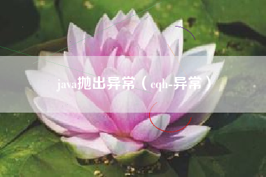java抛出异常（cqh-异常）
