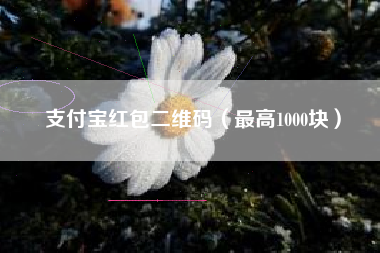 支付宝红包二维码（最高1000块）