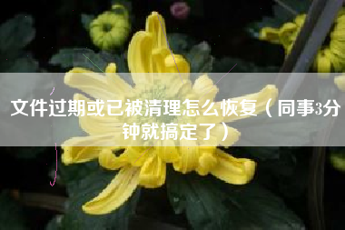 文件过期或已被清理怎么恢复（同事3分钟就搞定了）