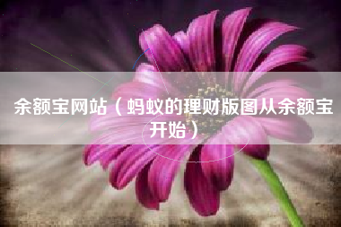 余额宝网站（蚂蚁的理财版图从余额宝开始）