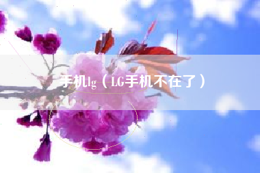 手机lg（LG手机不在了）