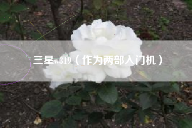 三星w319（作为两部入门机）