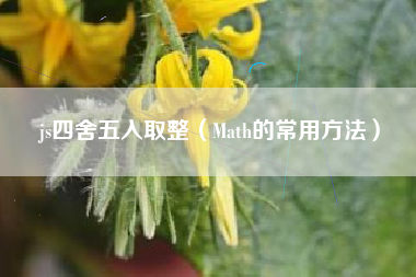js四舍五入取整（Math的常用方法）