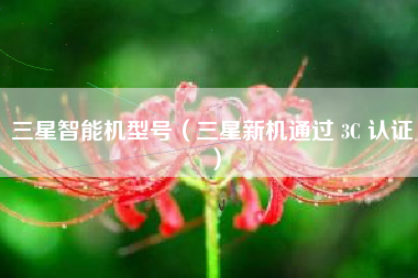 三星智能机型号（三星新机通过 3C 认证）