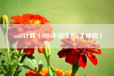 md5计算（MD5不安全的3个原因）