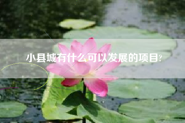 小县城有什么可以发展的项目?