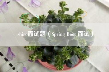 shiro面试题（Spring Boot 面试）
