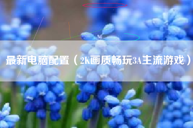 最新电脑配置（2K画质畅玩3A主流游戏）