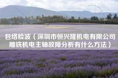 包络检波（深圳市恒兴隆机电有限公司雕铣机电主轴故障分析有什么方法）