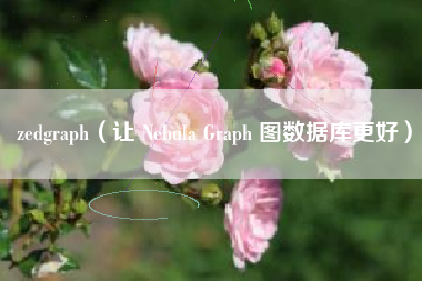 zedgraph（让 Nebula Graph 图数据库更好）