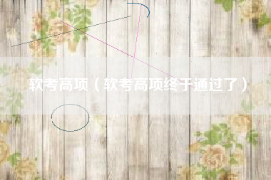 软考高项（软考高项终于通过了）