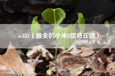 se333（最全的小米8信息在这）