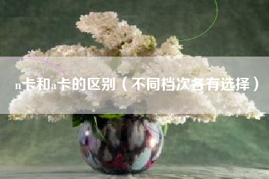 n卡和a卡的区别（不同档次各有选择）