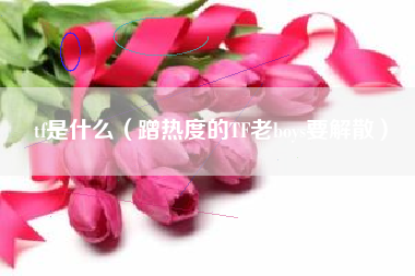 tf是什么（蹭热度的TF老boys要解散）