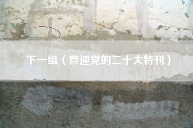 下一组（喜迎党的二十大特刊）