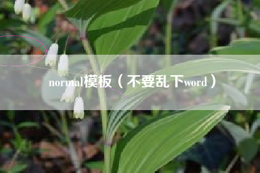 normal模板（不要乱下word）