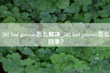 502 bad gateway怎么解决_502 bad gateway怎么回事？